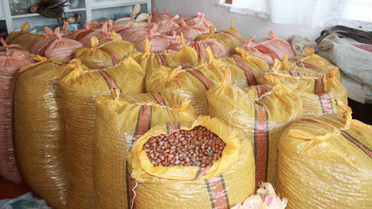 findik ureticilerinin artis beklentisi evde depoluyorlar a6U9zz4A