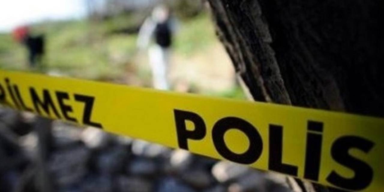 Ağaç Devrildi, Kamyonet Sürücüsü Hayatını Kaybetti