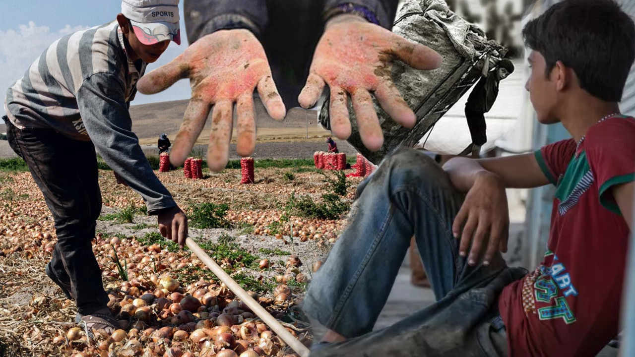 Türkiye’de Çocuk İşçiliği: Karanlık Gerçekler ve Çözüm Önerileri