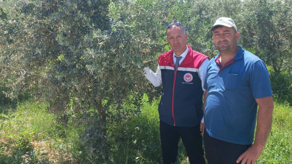 Mersin Üniversitesi’nde Sendika Temsilcisine Görev Değişikliği: DİSK’ten Sert Tepki